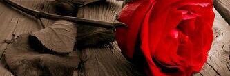 2212Nasr's profile banner image