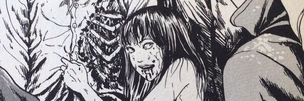PaleNymph's profile banner image