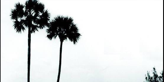 frolitics's profile banner image
