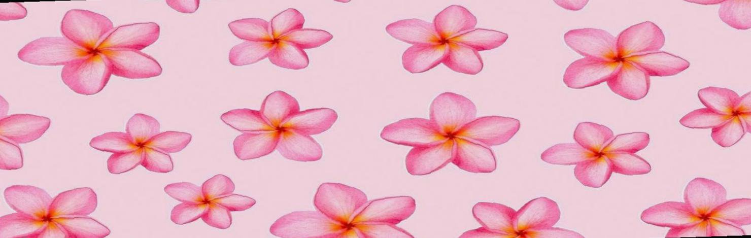 KUMA_0722's profile banner image