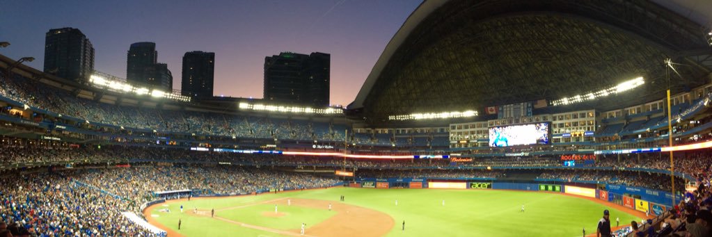 Catherine Stem 📎 banner