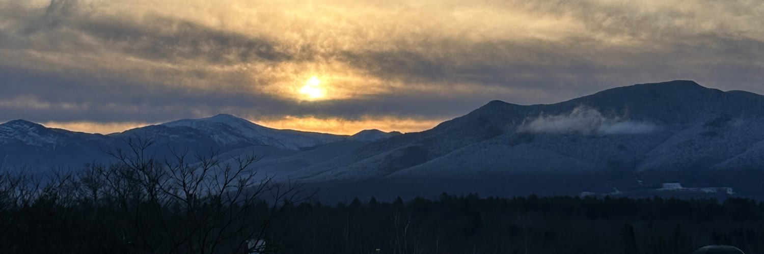 Mandy Greenfield ☘️ banner