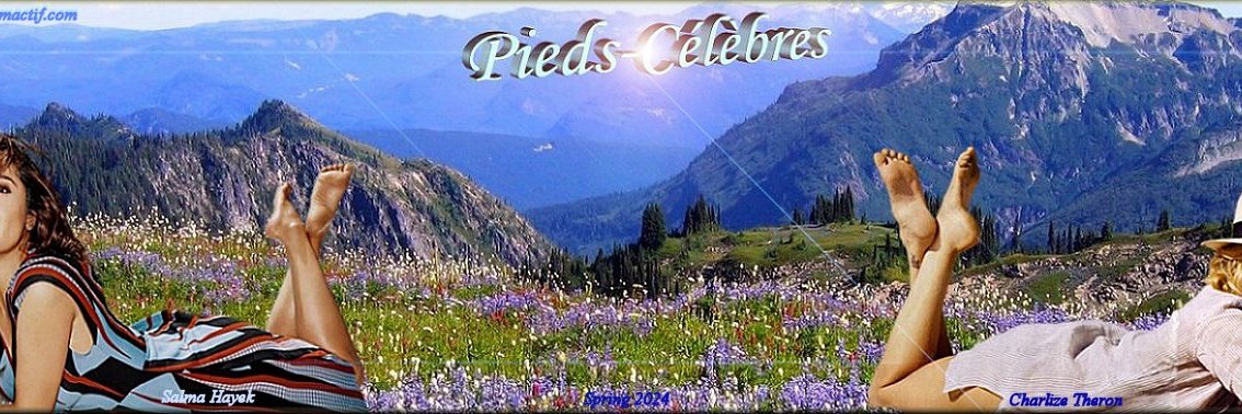 netade1's profile banner image