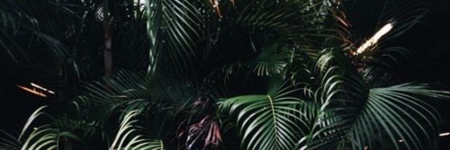 aestheticissy's profile banner image