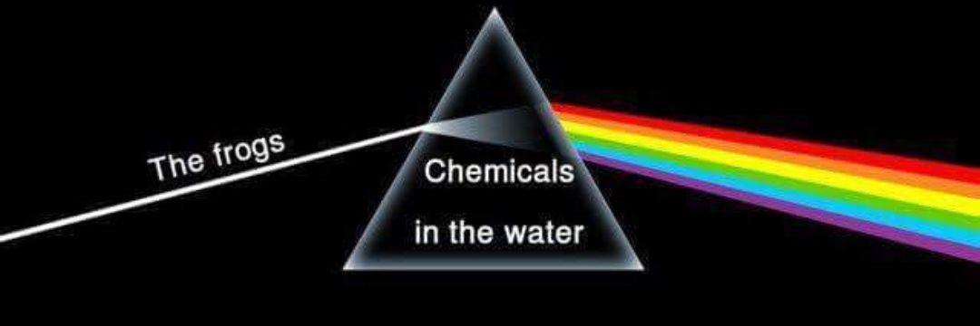 Mr_F1STER's profile banner image
