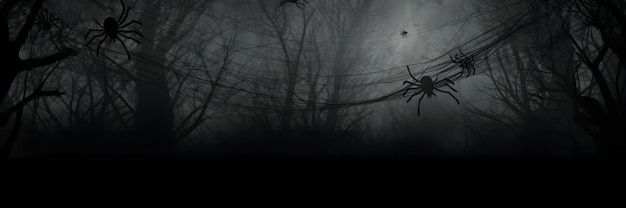HorrorGothDoll's profile banner image