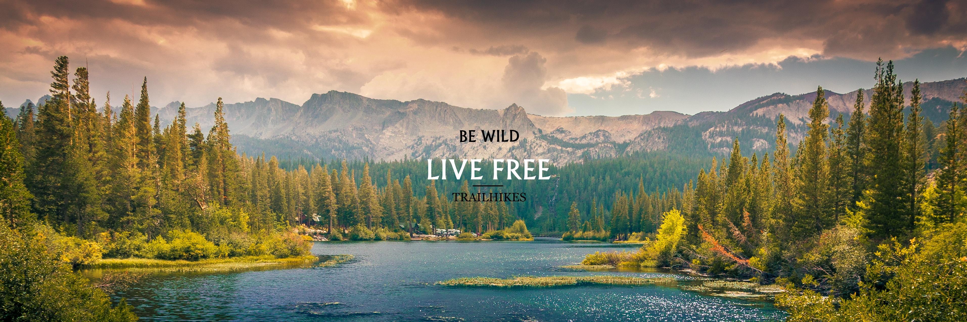 trailhikes's profile banner image