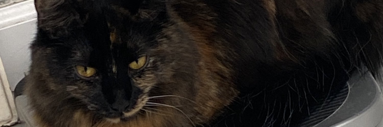 Hotmuffin2001's profile banner image