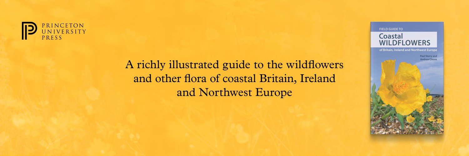 Andrew Cleave banner