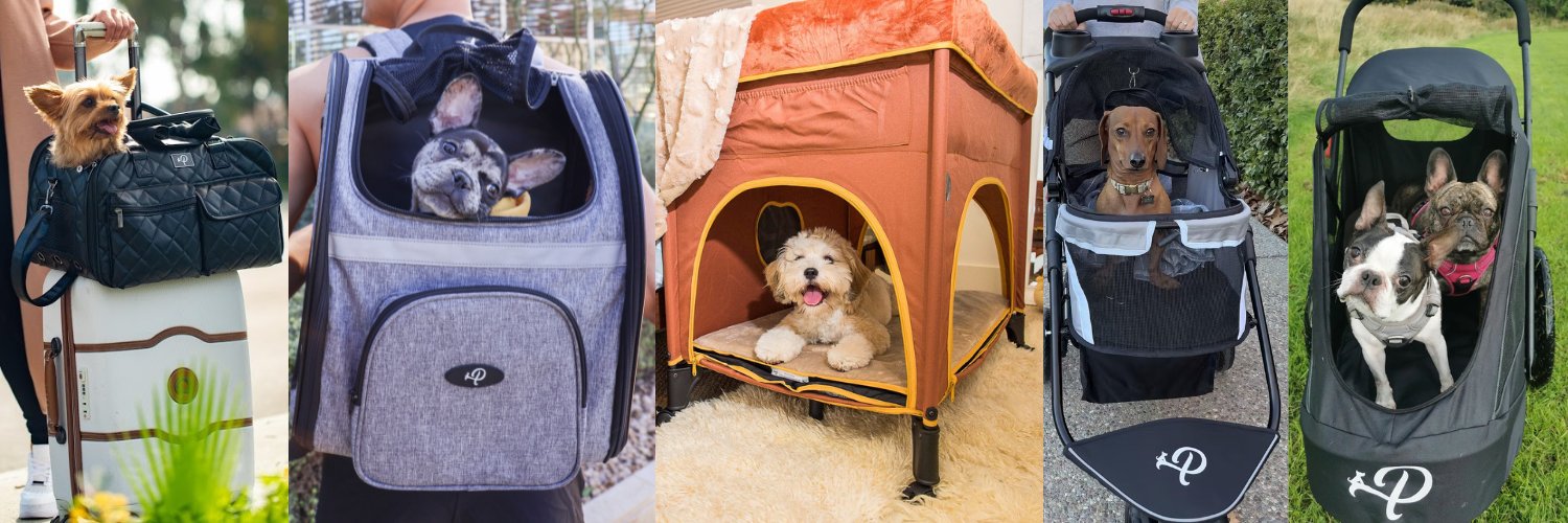 petiquepets's profile banner image