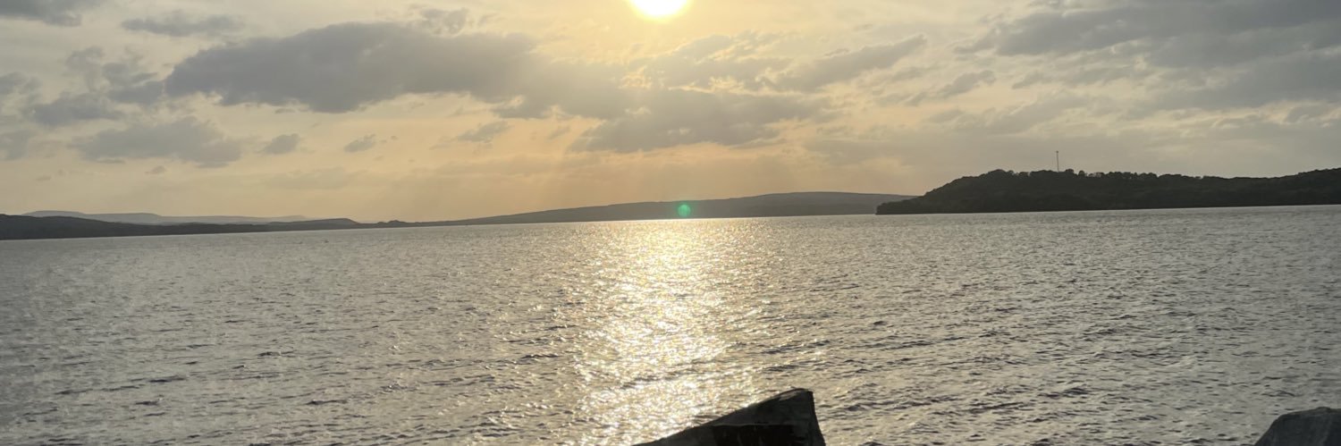lisareneporter's profile banner image
