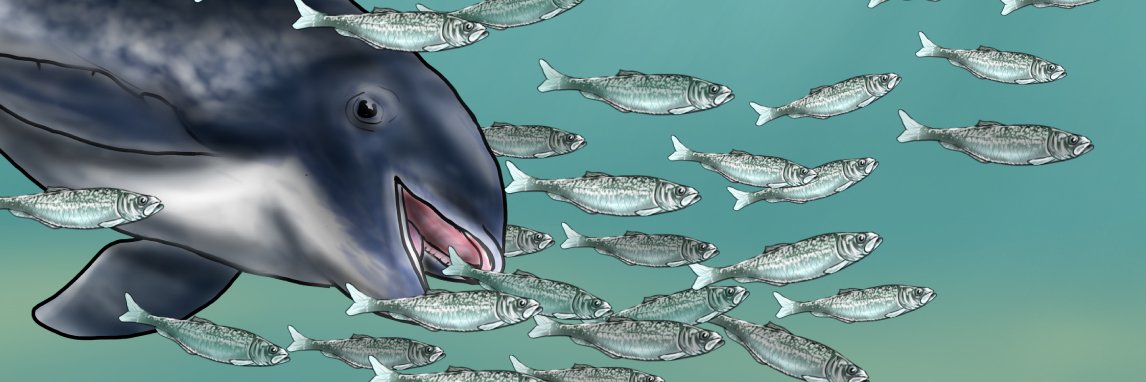 Jack S banner