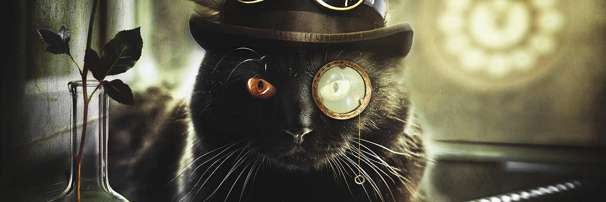 TednTheBassman's profile banner image
