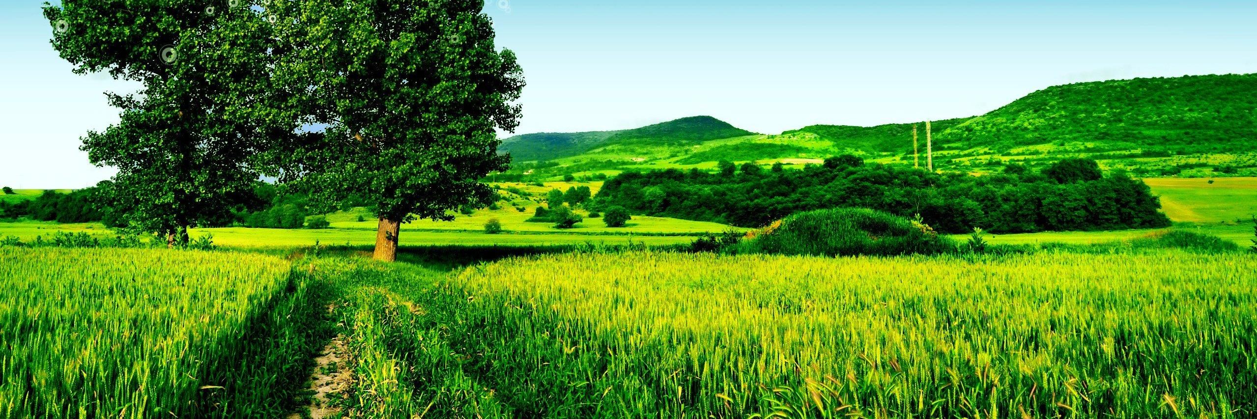 Rave_Ridwan's profile banner image