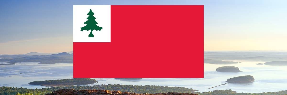 New England Independence Campaign banner