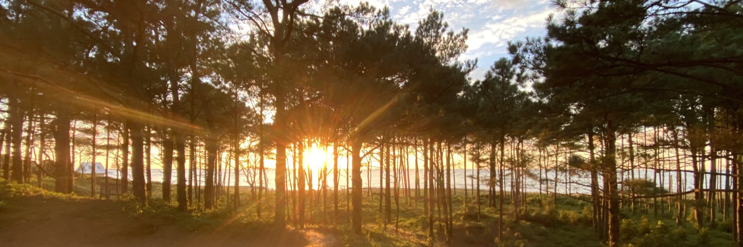 Christina Feng banner