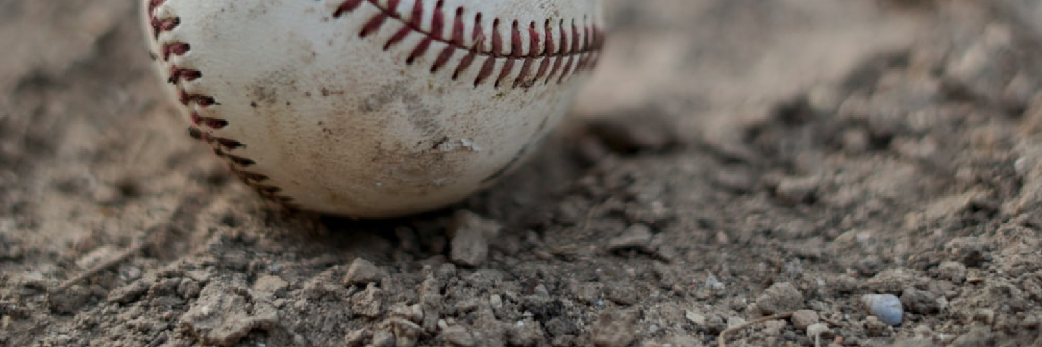 Ottawa West Twins banner