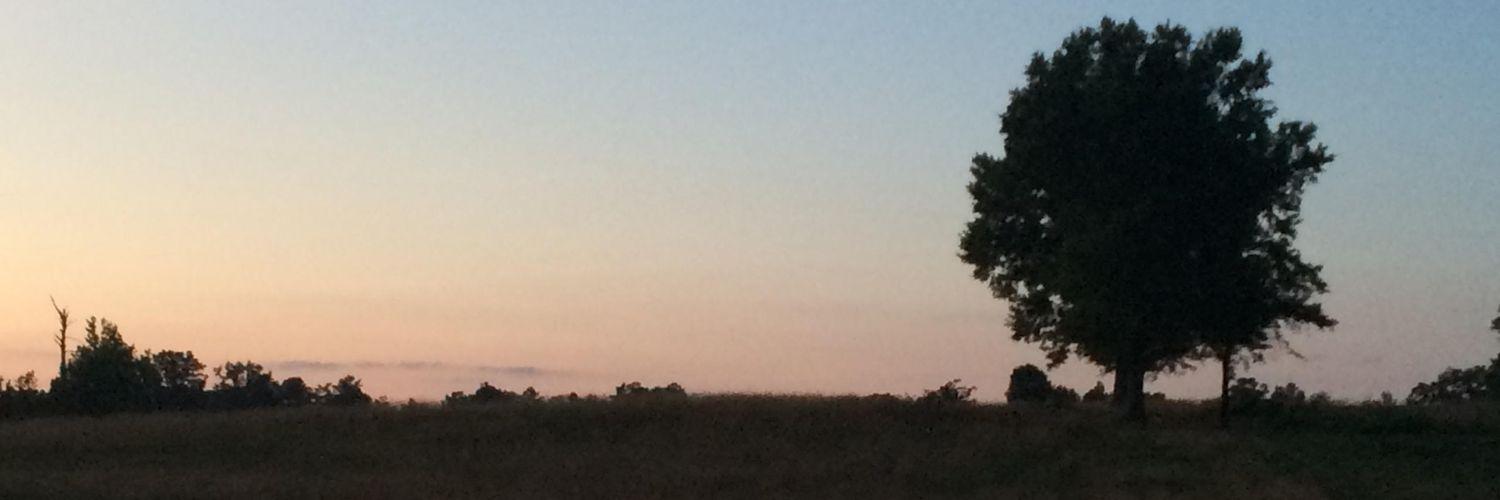 KlinkerMonica's profile banner image