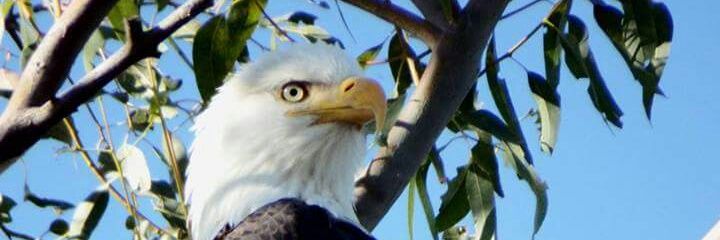daymeardon's profile banner image