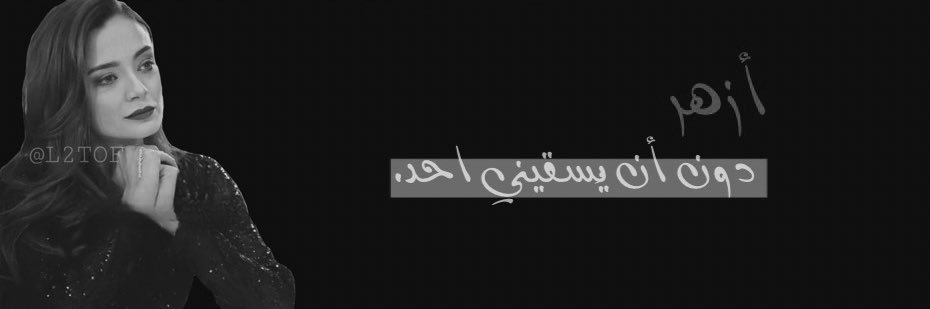L2TOF's profile banner image