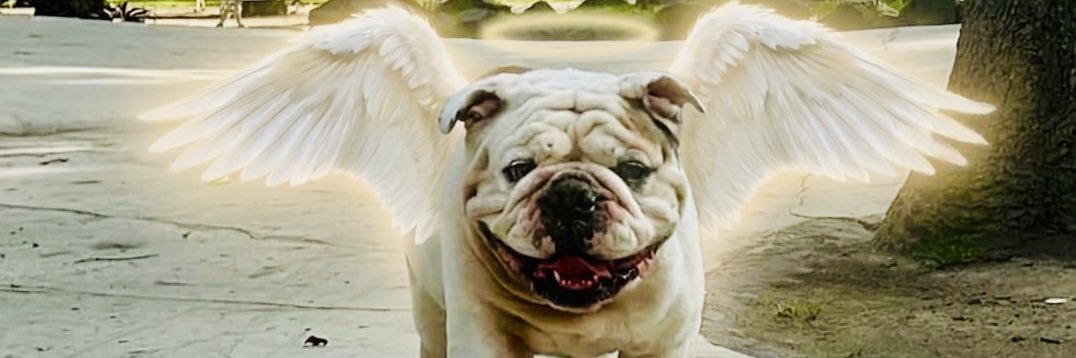 Carlos Sotelo García banner