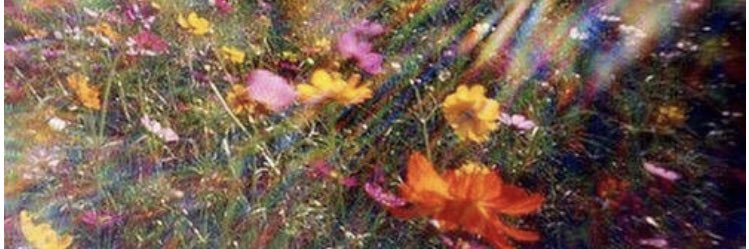 BoergerEmma's profile banner image