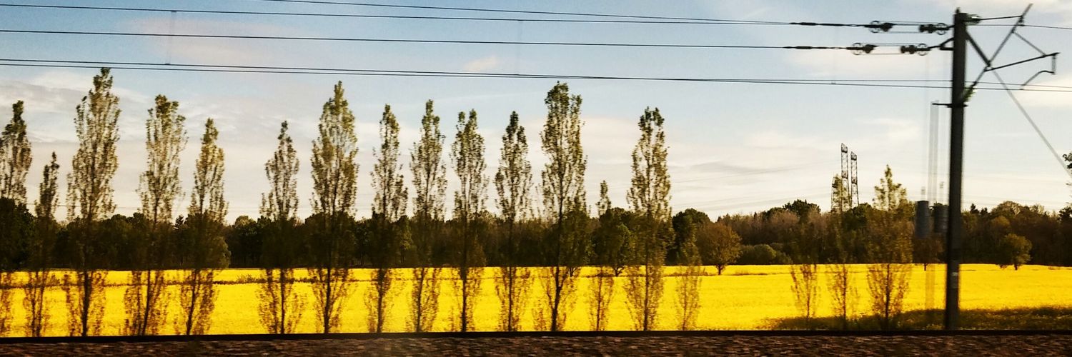 Raphaele Bertho banner