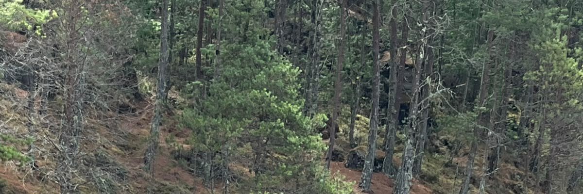 soimaaaar's profile banner image