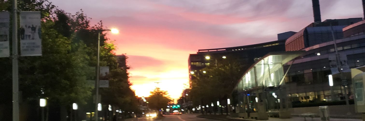 Lisa Baszynski banner