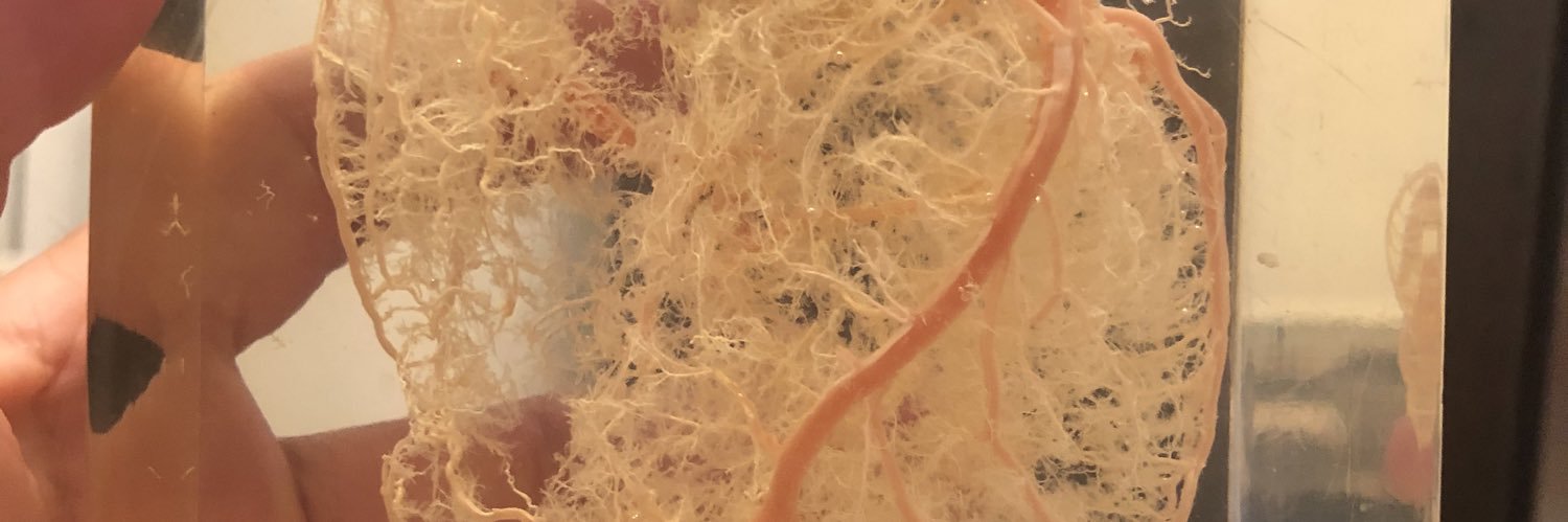 Juan Pablo Costabel MD 🇦🇷 banner