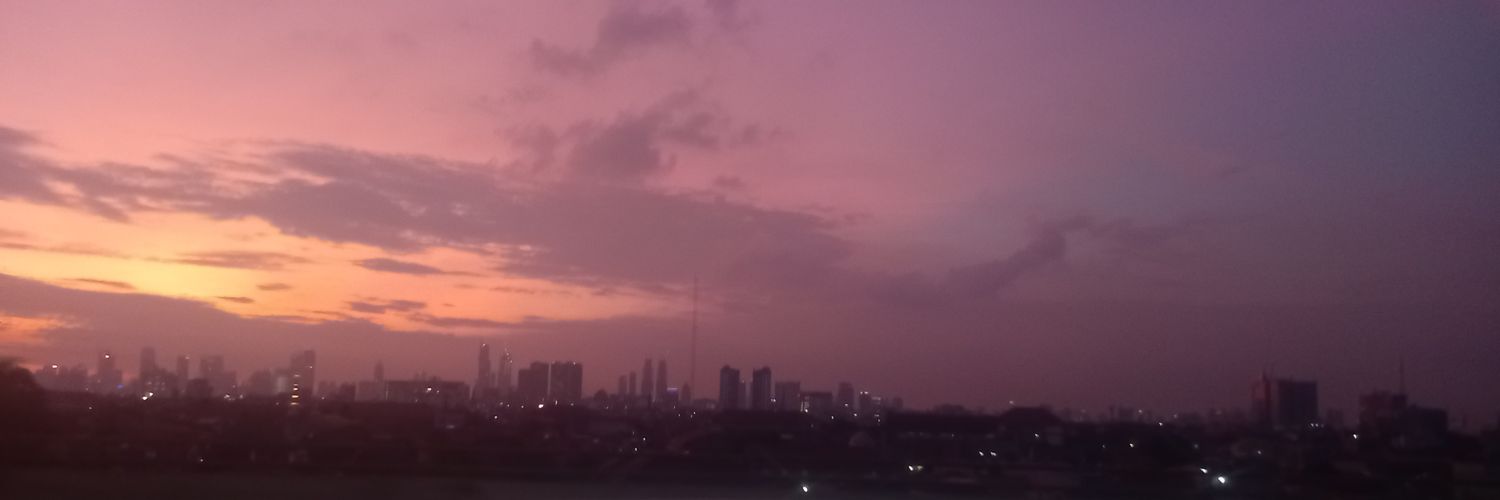 rizmaula's profile banner image
