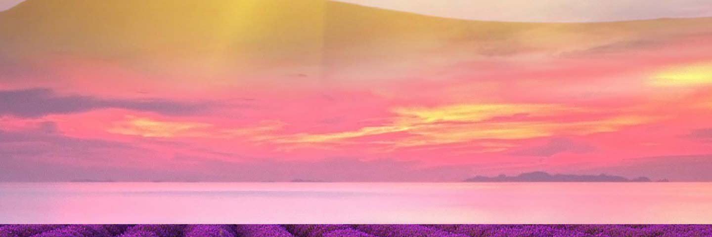 kacd16's profile banner image