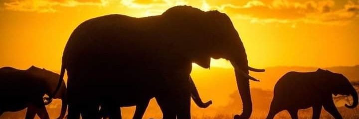 BoyieBryan's profile banner image