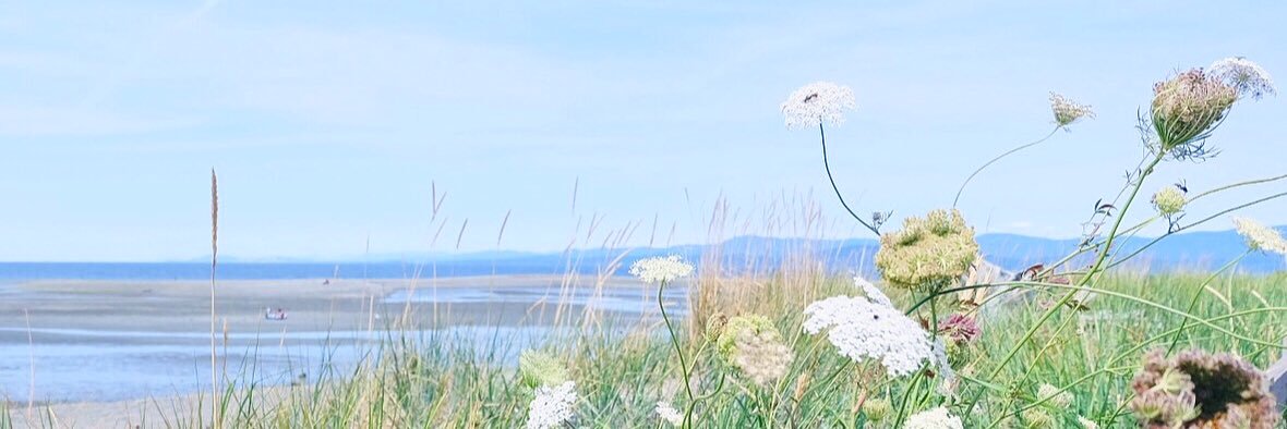 ppnpar's profile banner image