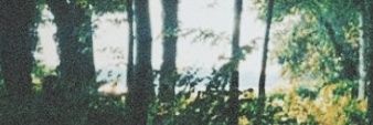 Dzakytmm's profile banner image