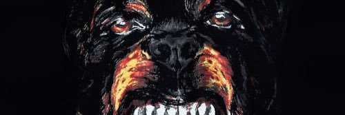 n_superior's profile banner image