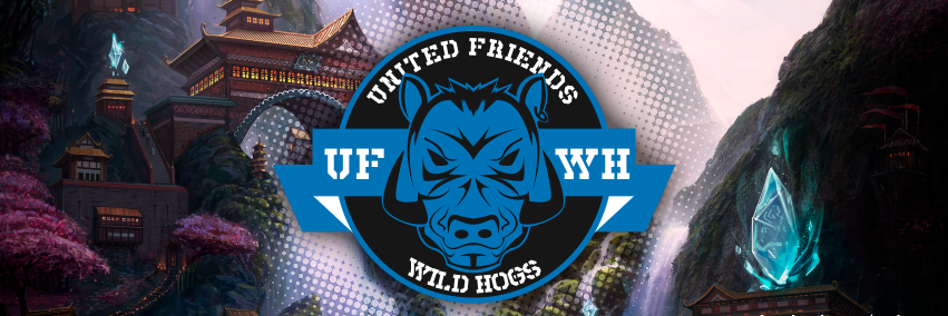 UFWildHogs's profile banner image