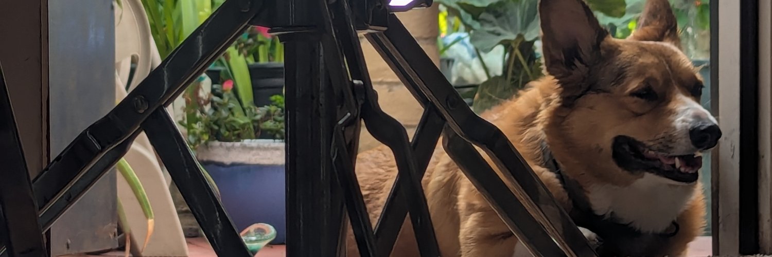 FoxTicious's profile banner image