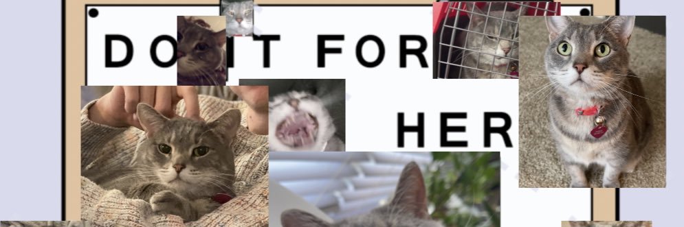 tayjp123's profile banner image