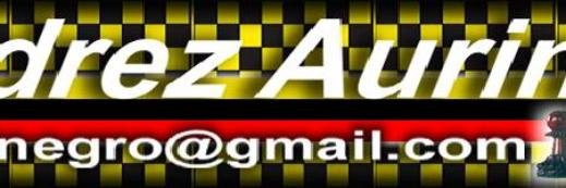 ajedrezaurinegr's profile banner image