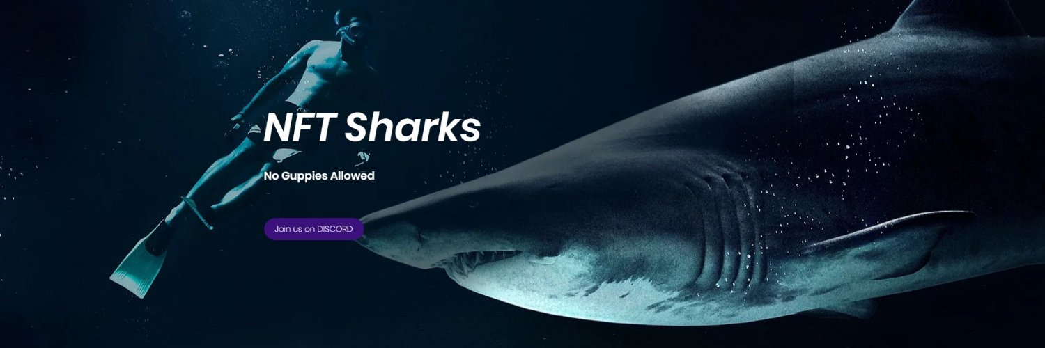 NFT Sharks - NFT Alerts & Community banner