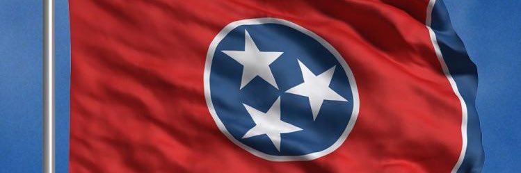 Appalachian Mama's banner