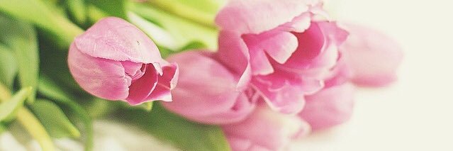 Eman_AAA's profile banner image