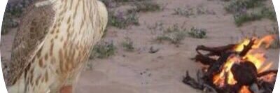 1mohd7777's profile banner image