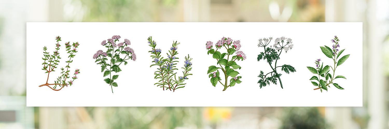 judithatello's profile banner image