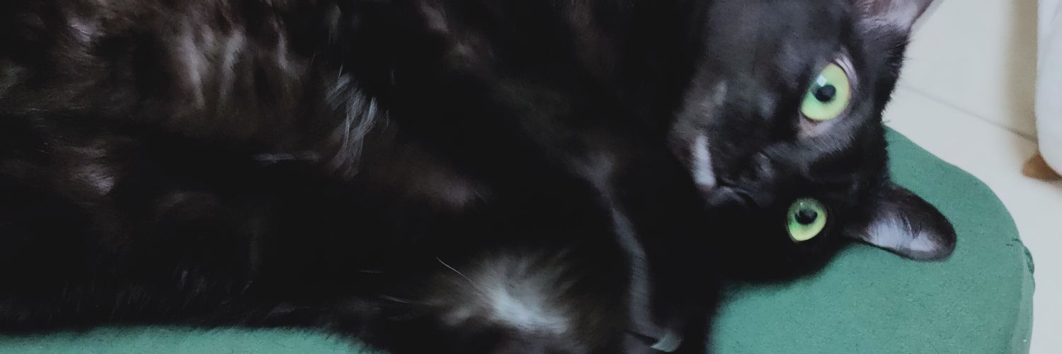JavierAmis's profile banner image