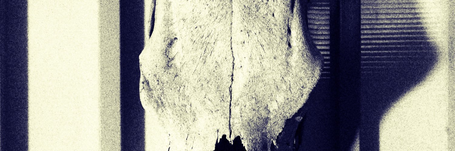 NeumannGnm's profile banner image