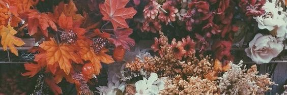 izzie_morris's profile banner image