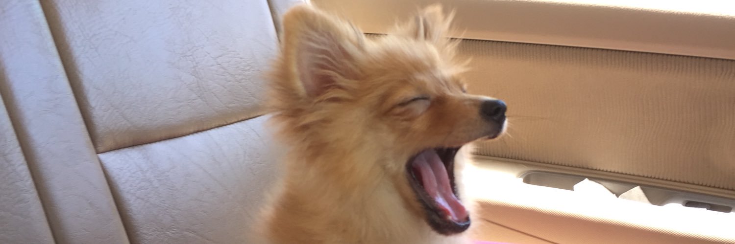 youseeangela's profile banner image