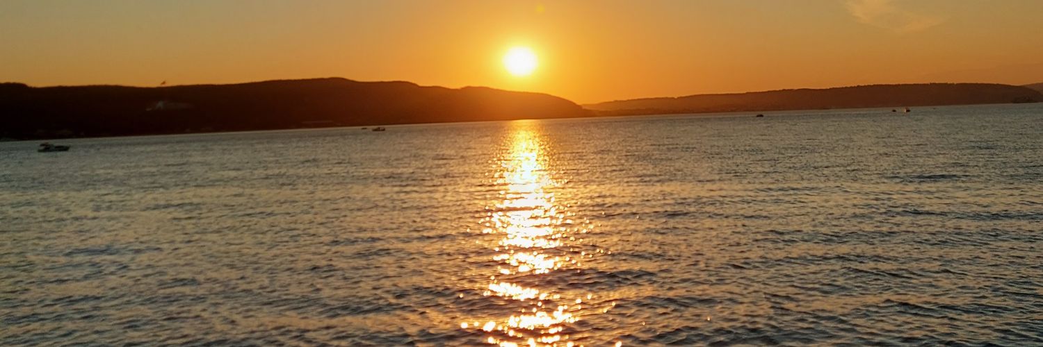 zuzudtcf's profile banner image